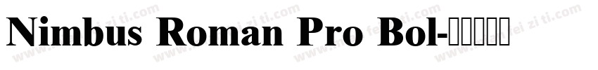 Nimbus Roman Pro Bol字体转换